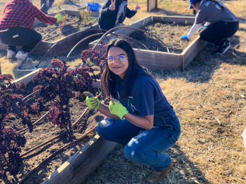 Students at Garden 3